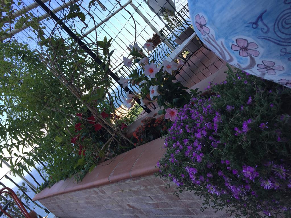 B&B La Terrazza Sul Mare Taormina Buitenkant foto